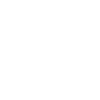 Vizyonumuz icon